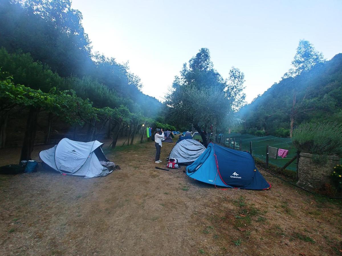 Agricamping Ponteraggio N.1 Ξενοδοχείο Dolceacqua Εξωτερικό φωτογραφία