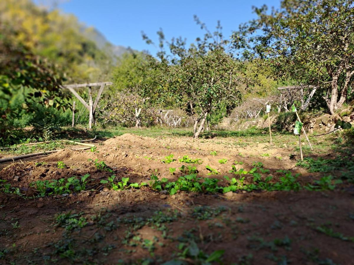 Agricamping Ponteraggio N.1 Ξενοδοχείο Dolceacqua Εξωτερικό φωτογραφία