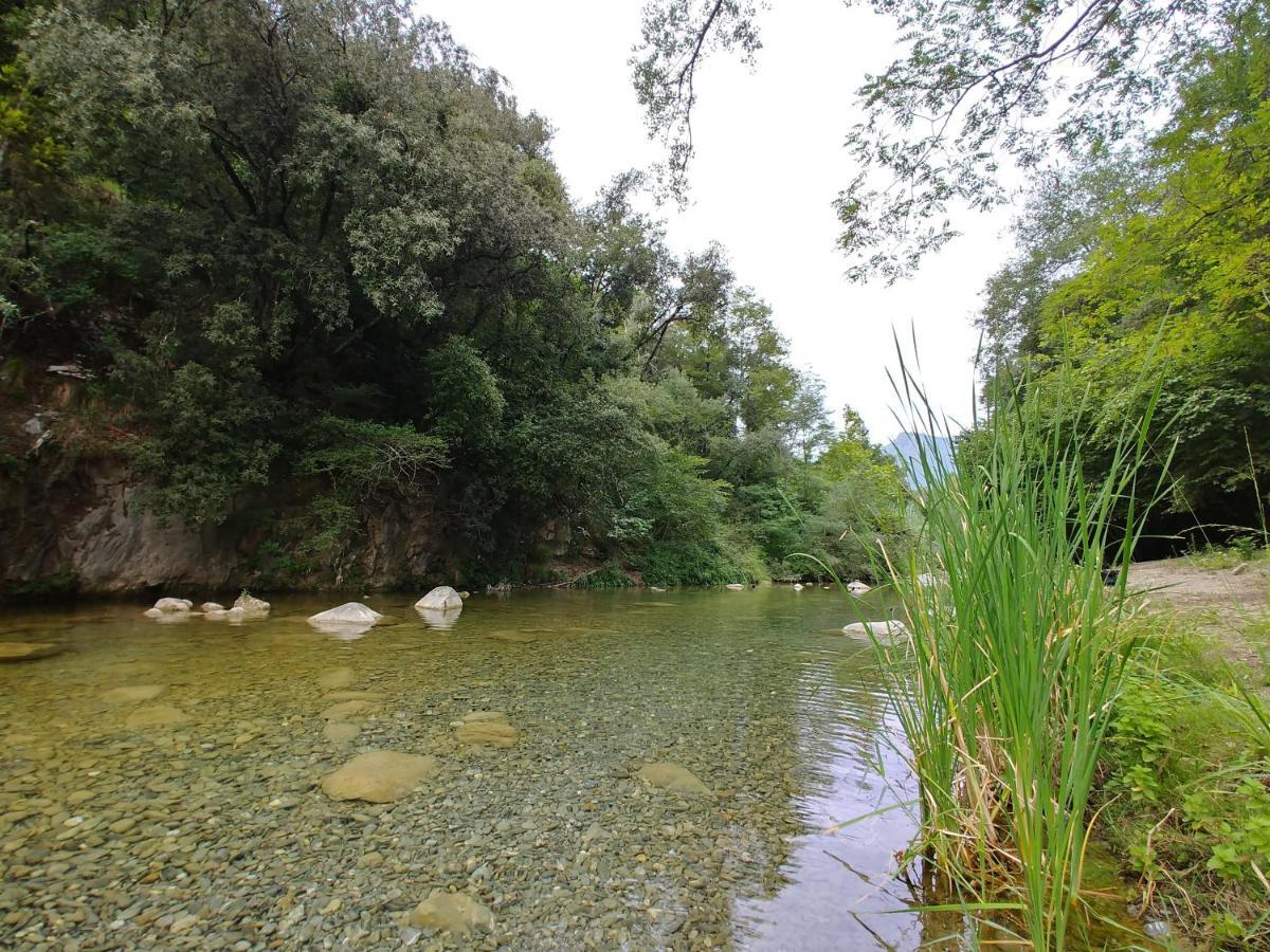 Agricamping Ponteraggio N.1 Ξενοδοχείο Dolceacqua Εξωτερικό φωτογραφία
