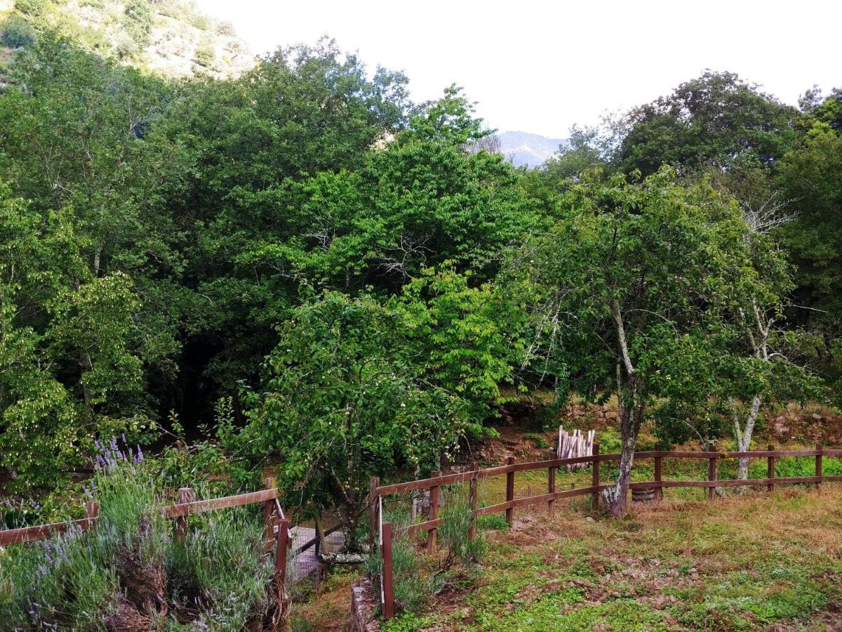 Agricamping Ponteraggio N.1 Ξενοδοχείο Dolceacqua Εξωτερικό φωτογραφία