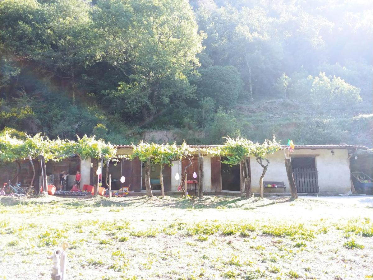 Agricamping Ponteraggio N.1 Ξενοδοχείο Dolceacqua Εξωτερικό φωτογραφία