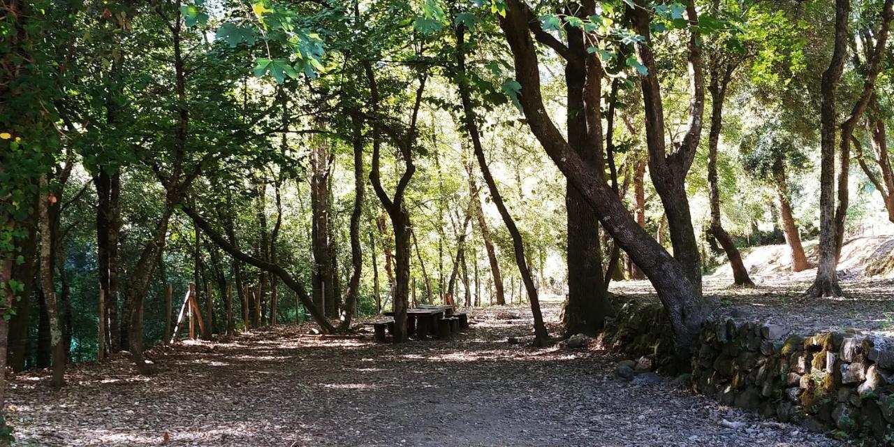 Agricamping Ponteraggio N.1 Ξενοδοχείο Dolceacqua Εξωτερικό φωτογραφία