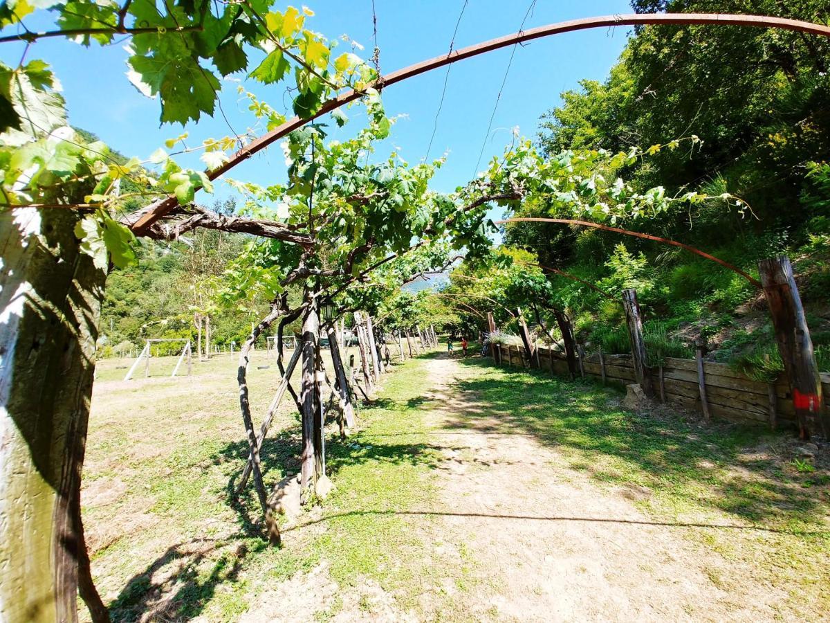 Agricamping Ponteraggio N.1 Ξενοδοχείο Dolceacqua Εξωτερικό φωτογραφία