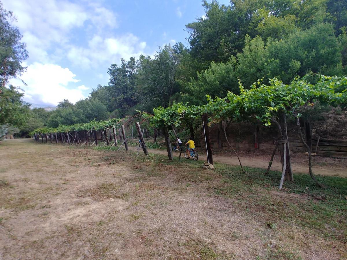 Agricamping Ponteraggio N.1 Ξενοδοχείο Dolceacqua Εξωτερικό φωτογραφία
