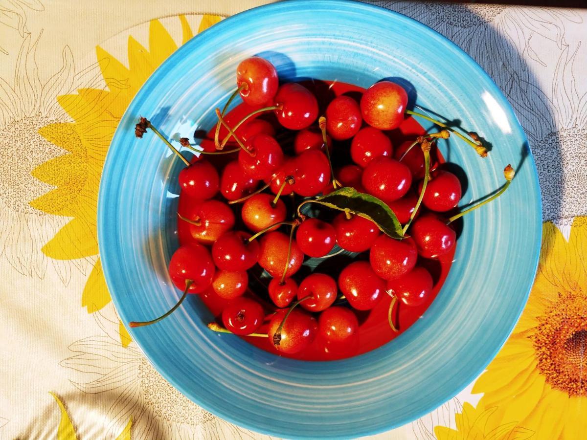 Agricamping Ponteraggio N.1 Ξενοδοχείο Dolceacqua Εξωτερικό φωτογραφία
