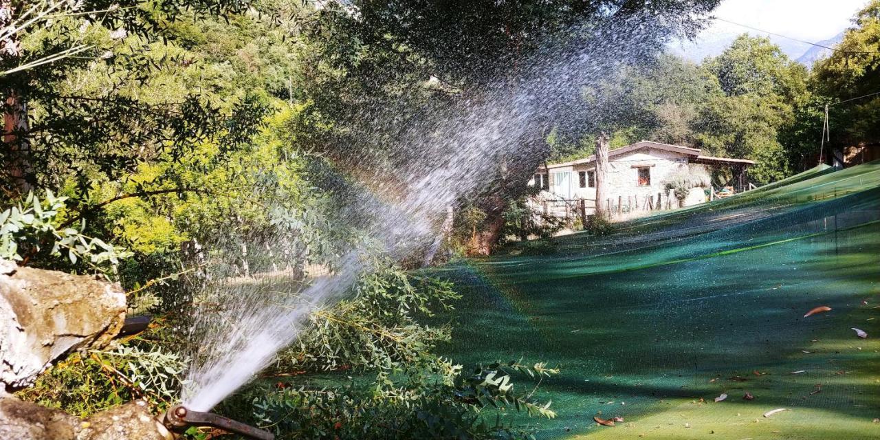 Agricamping Ponteraggio N.1 Ξενοδοχείο Dolceacqua Εξωτερικό φωτογραφία