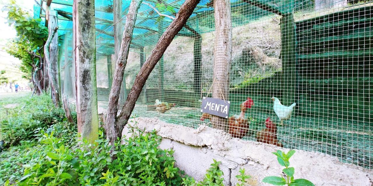 Agricamping Ponteraggio N.1 Ξενοδοχείο Dolceacqua Εξωτερικό φωτογραφία