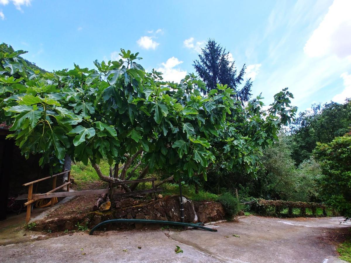 Agricamping Ponteraggio N.1 Ξενοδοχείο Dolceacqua Εξωτερικό φωτογραφία
