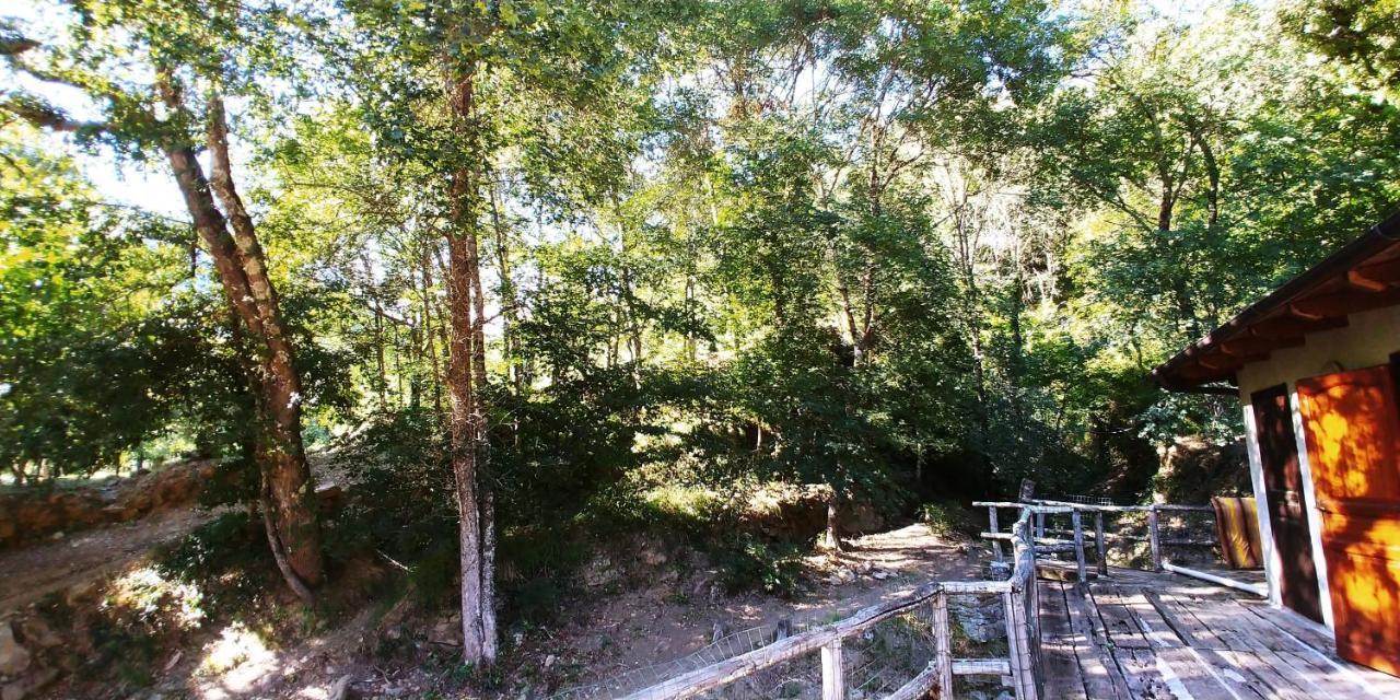 Agricamping Ponteraggio N.1 Ξενοδοχείο Dolceacqua Εξωτερικό φωτογραφία