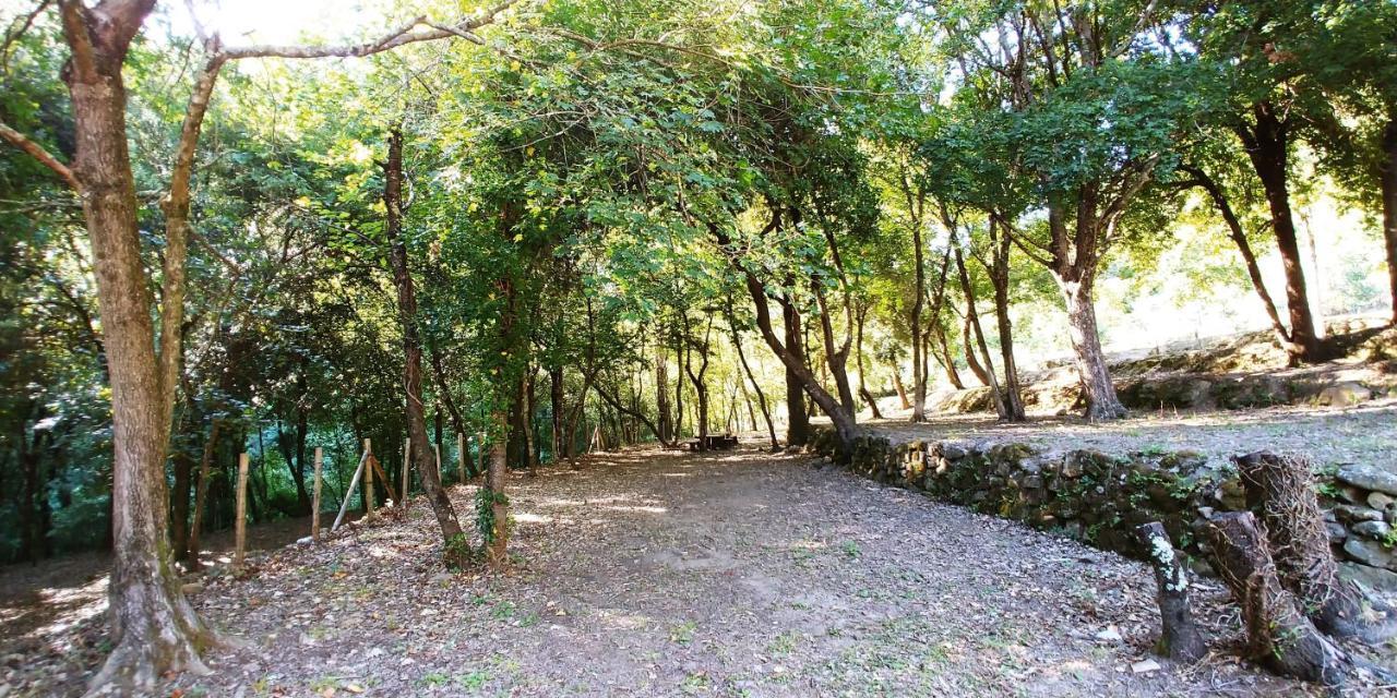 Agricamping Ponteraggio N.1 Ξενοδοχείο Dolceacqua Εξωτερικό φωτογραφία
