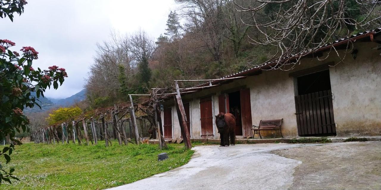 Agricamping Ponteraggio N.1 Ξενοδοχείο Dolceacqua Εξωτερικό φωτογραφία