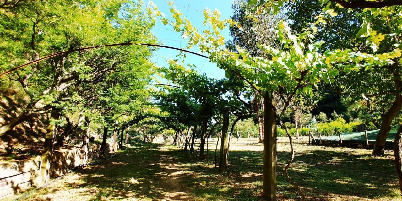 Agricamping Ponteraggio N.1 Ξενοδοχείο Dolceacqua Εξωτερικό φωτογραφία