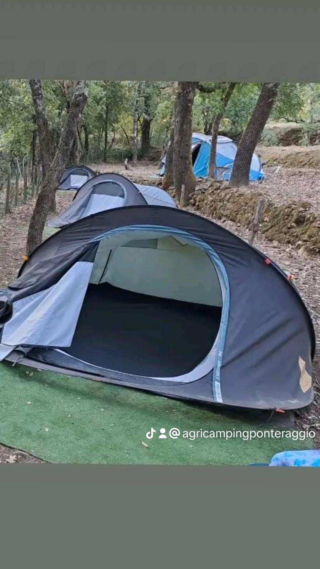 Agricamping Ponteraggio N.1 Ξενοδοχείο Dolceacqua Εξωτερικό φωτογραφία