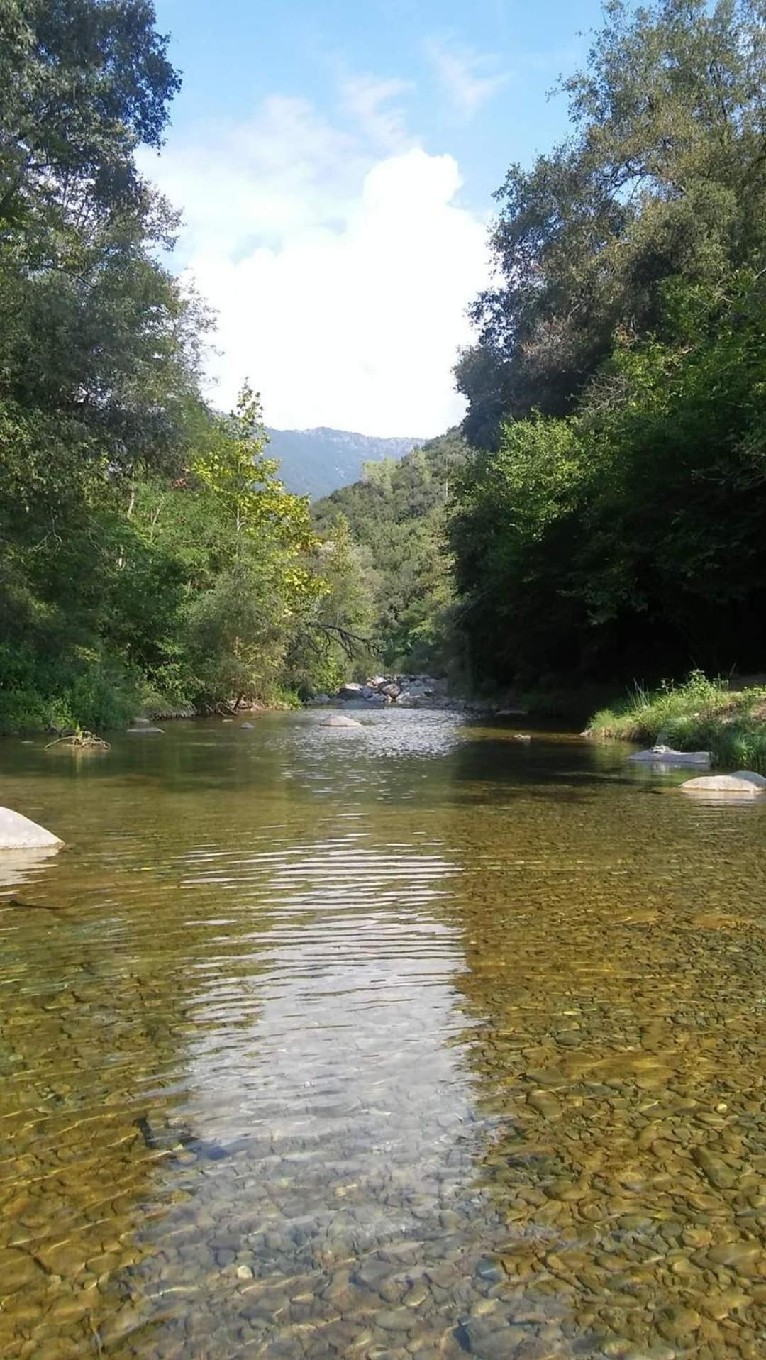 Agricamping Ponteraggio N.1 Ξενοδοχείο Dolceacqua Εξωτερικό φωτογραφία